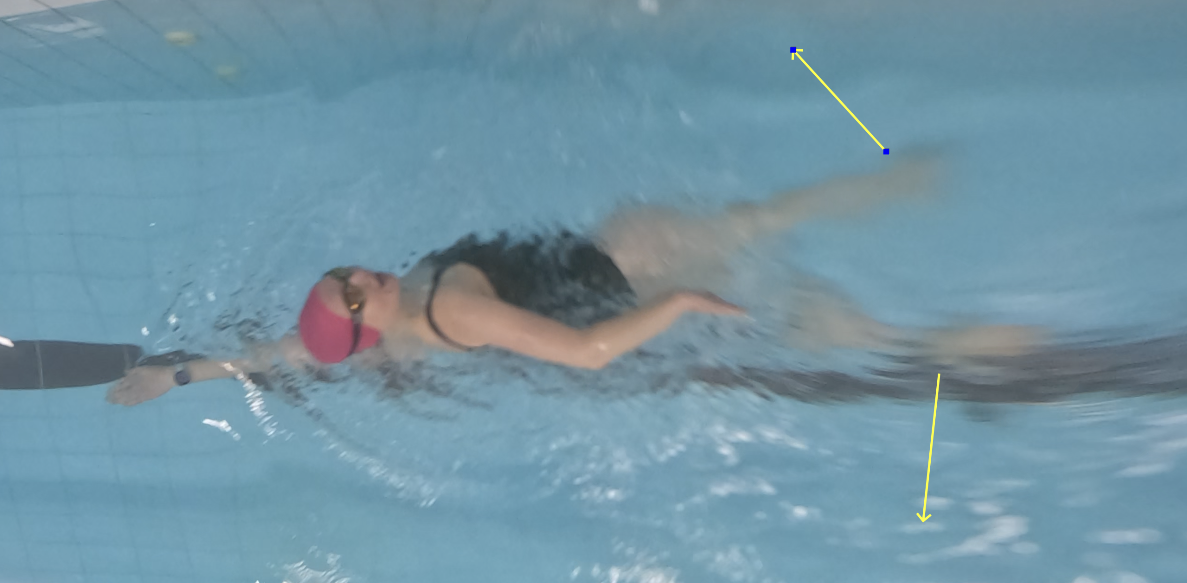 SwimFlow treneris